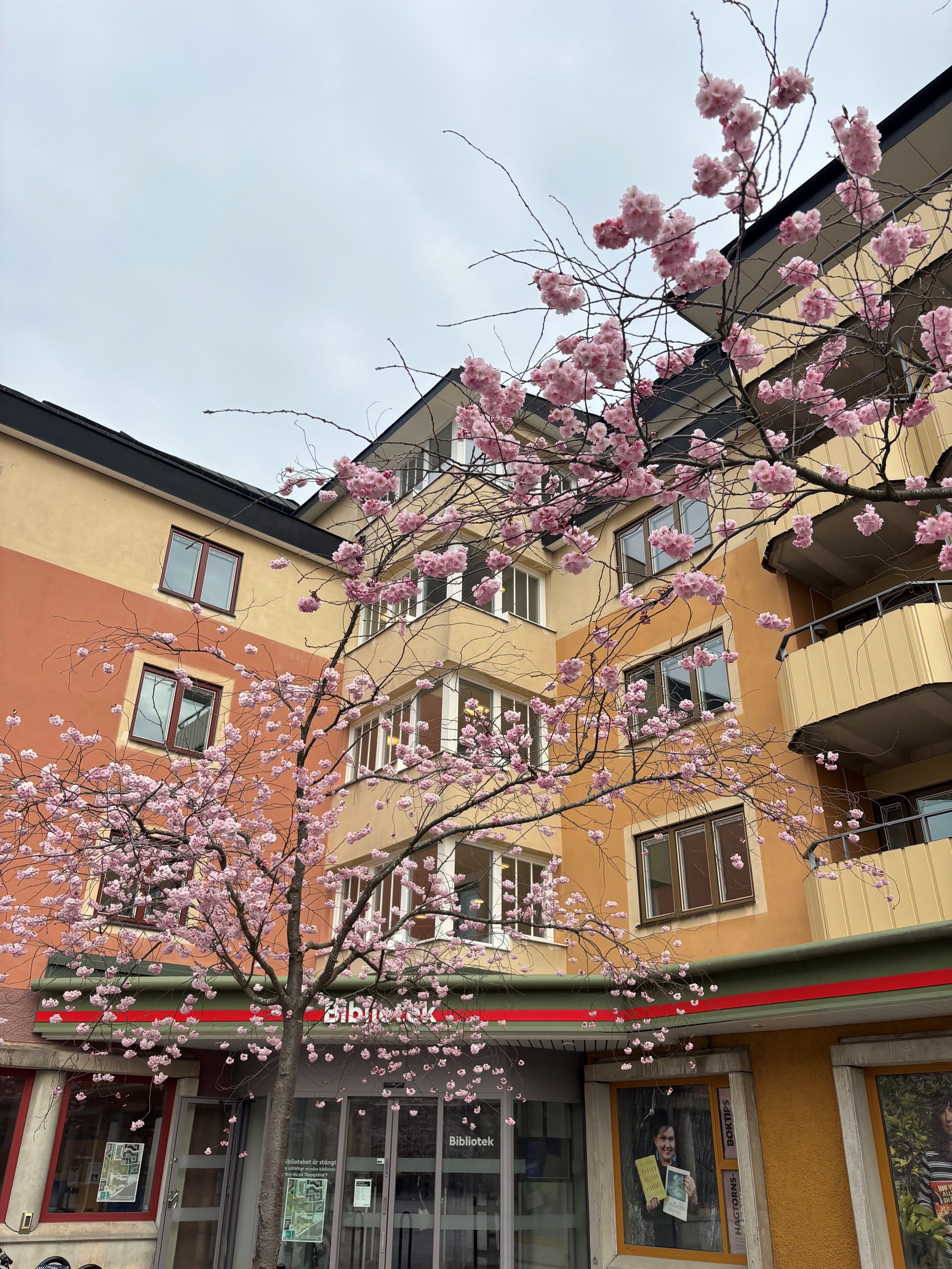 hus och himmel_Dalen_vår 2025.jpg